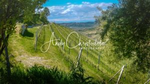 ItalyBarbareso-2.jpg - andychristodolophotography