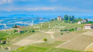 Treiso, Barbaresco, Italy - andychristodolophotography